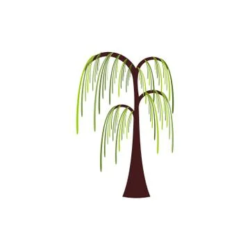 Beautiful stylized willow tree vector illustration isolated on white backgrou Stock Illustration