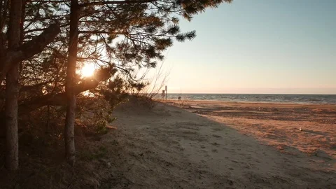 Beautiful summer beach during sunset 库存影片 73832637