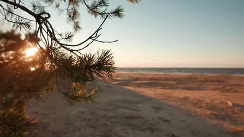 Beautiful summer beach during sunset Stock Footage 73832754