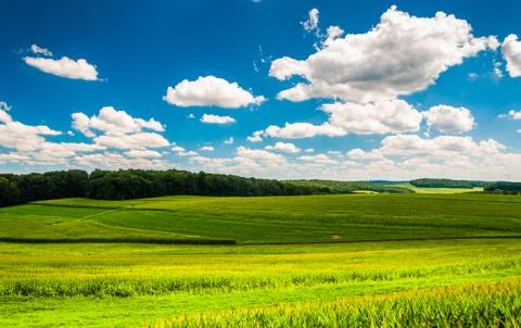 Beautiful summer clouds over fields and rolling hills in southern york county Stock-Fotos