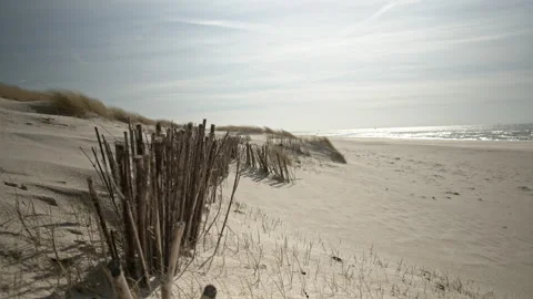 Beautiful Summer Day At The Beach Stock Footage 253011859