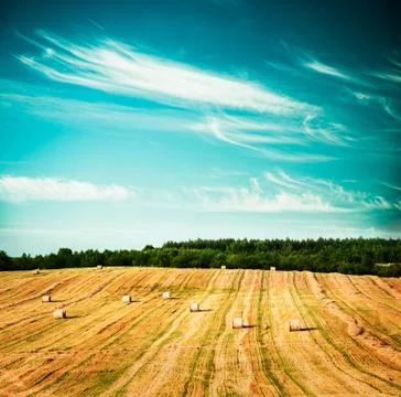 Beautiful Summer Field Scenery with Haystack Stock Photos