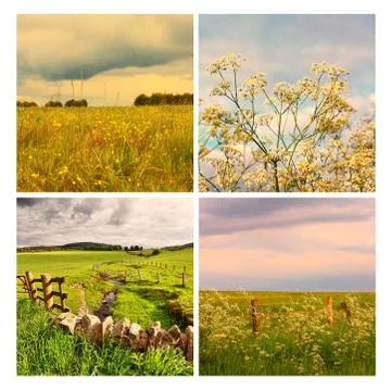 Beautiful summer in the fields, collage Stock Photos