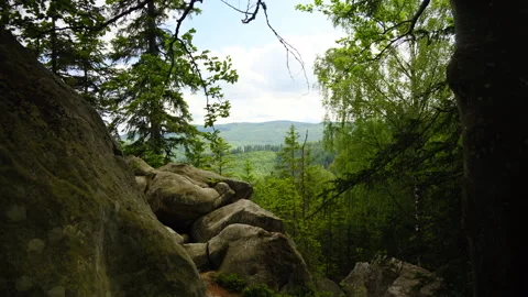 Beautiful summer forest with between green stones with moss and mountains Stock Footage 331565709
