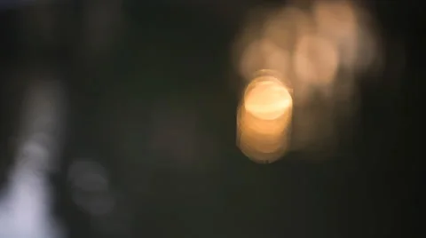 Beautiful summer forest bokeh background. Vídeo Stock 58668866