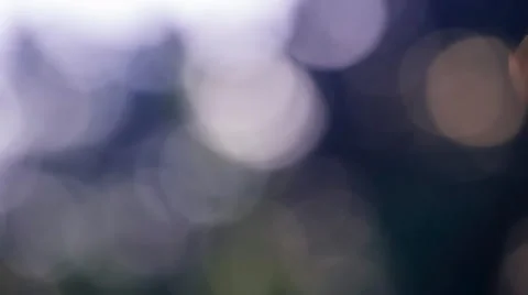 Beautiful summer forest bokeh background. 動画素材 58668875
