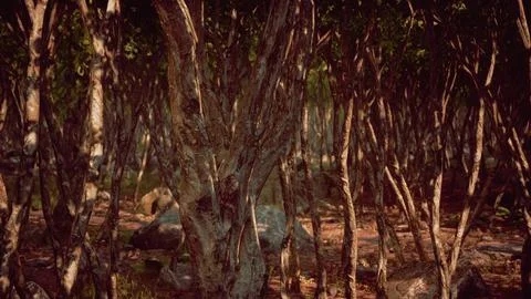 Beautiful summer forest with different trees Stock Illustration
