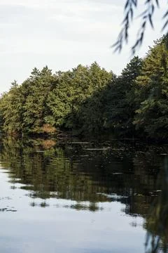 Beautiful summer lake, trees reflected in water, with calm lake surface Stock Photos