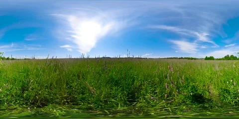 Beautiful summer landscape 360VR Stock Footage 94376458