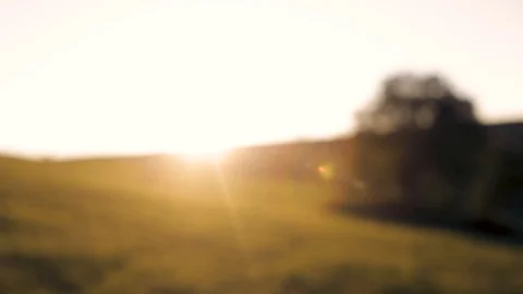 Beautiful Summer Landscape In Blur Video stock 88719946