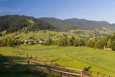 Beautiful summer landscape in Bucovina Фото