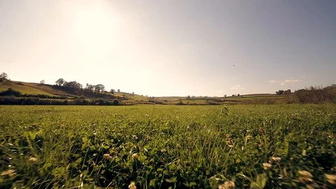 Beautiful Summer Landscape Stock Footage 88719998