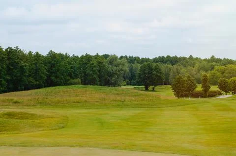 Beautiful summer landscape on a golf course with grass, flowering bushes and  Stock Photos