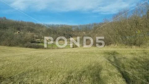 Beautiful summer landscape