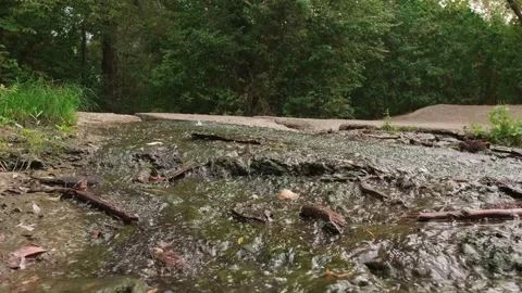 Beautiful summer landscape: a river flows gently through the forest, surrounded Stock Footage 303560065