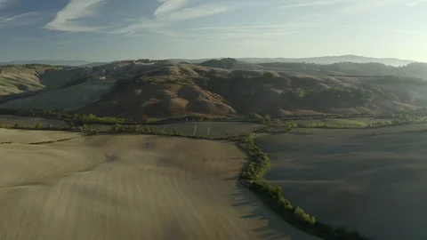 Beautiful summer morning on fields Stock Footage 125692287