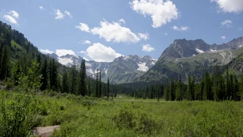 Beautiful summer mountain landscape. Altai, Russia 库存影片 315871053
