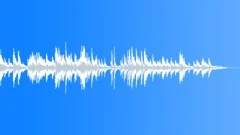 Beautiful summer Stock Music