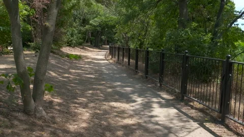 Beautiful summer park with a path overlooking the sea. Video stock 231642155