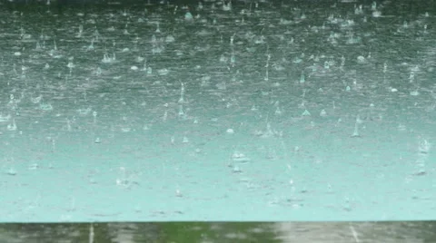 Beautiful summer rain background Видео 56623022
