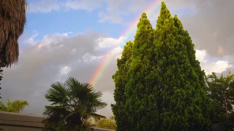 Beautiful summer rainbow Stock Footage 167667694