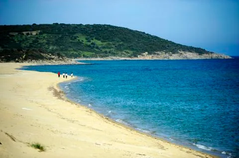 Beautiful summer scene Stock Photos