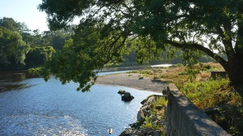 Beautiful summer scene on river Ave in Portugal panning over river and dam Stock Footage 112774889