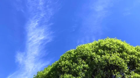 Beautiful summer skyline Video stock 89579640