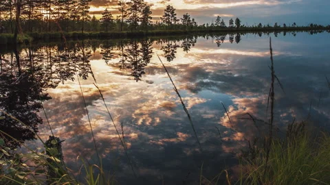 Beautiful summer sunset cloudy sky is reflecting in calm lake water. Picturesque Stock Footage 136667830