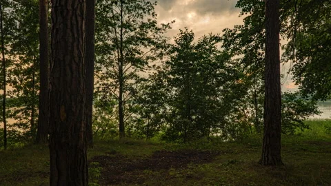 Beautiful summer sunset in the forest by the forest lake, Hyperlapse, camera Stock Footage 147058966