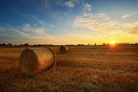 Beautiful summer sunset over fields with hay bales Foto stock