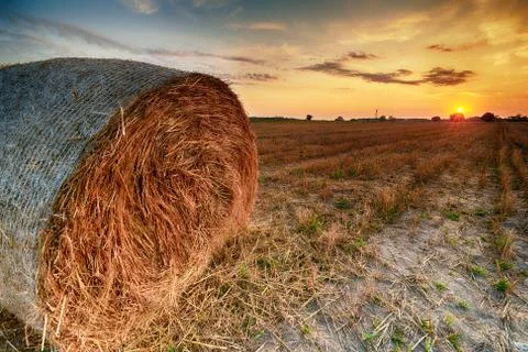 Beautiful summer sunset over fields with hay bales Stock Photos