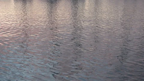 Beautiful summer sunset on the river reflection of the sky on the water surface	 스톡 동영상 99115405