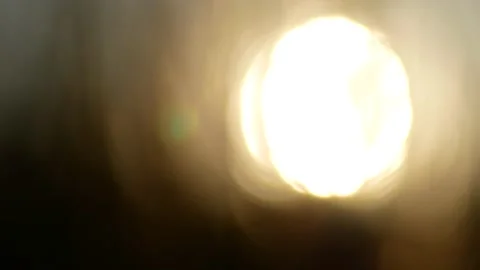 Beautiful summer sunset  through the grass Stock Footage 98829405