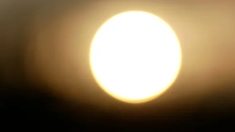 Beautiful summer sunset through the grass Stock Footage 108113637