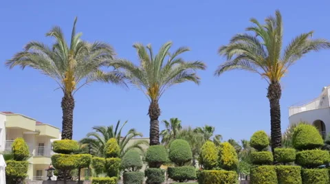 Beautiful summer view. Stock Footage 49350224