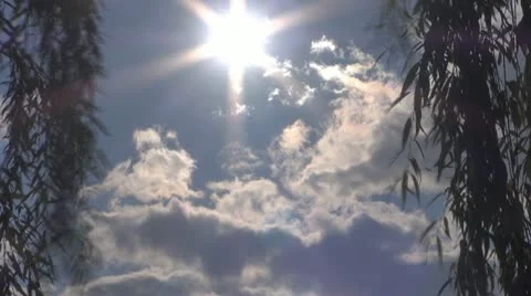 A beautiful sun between willow,Time Lapse Vídeos de archivo 11887279