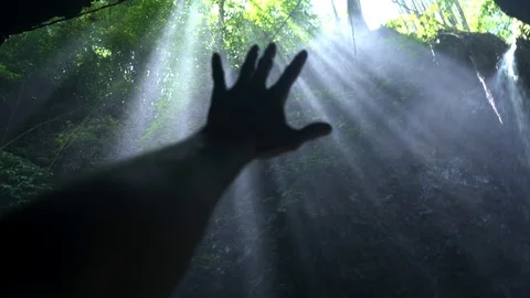 Beautiful sun light rays shining through cave and leaves Video stock 126031713