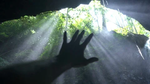 Beautiful sun light rays shining through cave and leaves Stock Footage 126031775