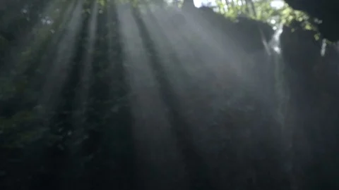 Beautiful sun light rays shining through cave and leaves Stock Footage 126032554