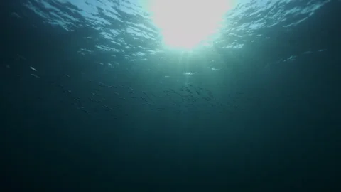Beautiful sun light rays shining through ocean surface. Darkness Mystery Magical Stock Footage 289328435