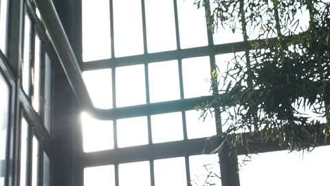 Beautiful sun rays effect in a metal cag... | Stock Video | Pond5