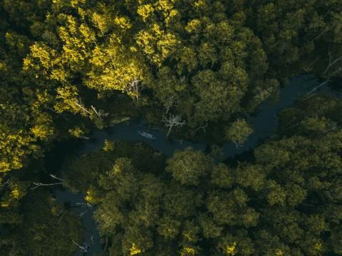 Beautiful sun rays over the forest and the river. Kayak on the river Foto stock
