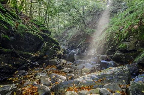 Beautiful sun rays over the river. Very colorful and detailed picture. Stock Photos
