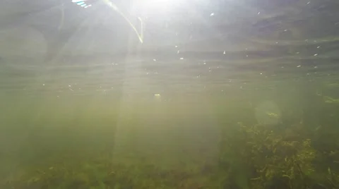 Beautiful sun rays under water. Vidéo 45012318