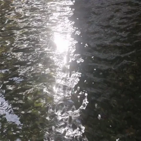 Beautiful Sun Reflections on the Water Surface in Calm Weather Stock Footage 69494958