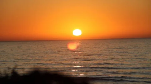 Beautiful sun set over the sea, silhouette of plants in the foreground Stock Footage 123201365