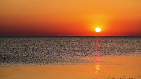 Beautiful sun setting Stock Footage 80302818