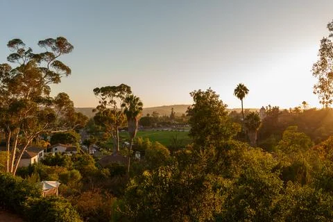 The beautiful sun is setting gently over a lush green forest area Stock Photos