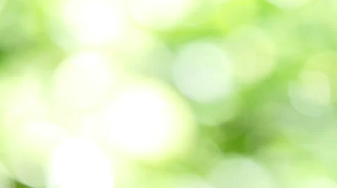 Beautiful Sun shine through the blowing on wind tree green leaves. 스톡 동영상 65441880